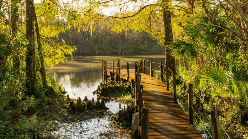 Best Park to visit in FL