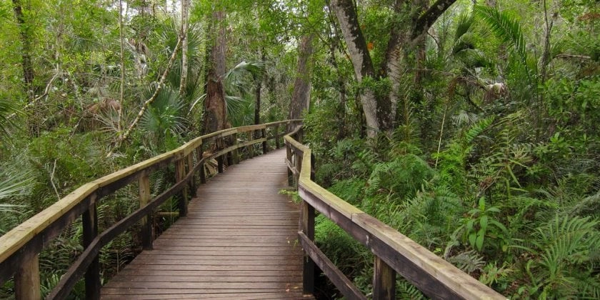 Best Park to visit in FL