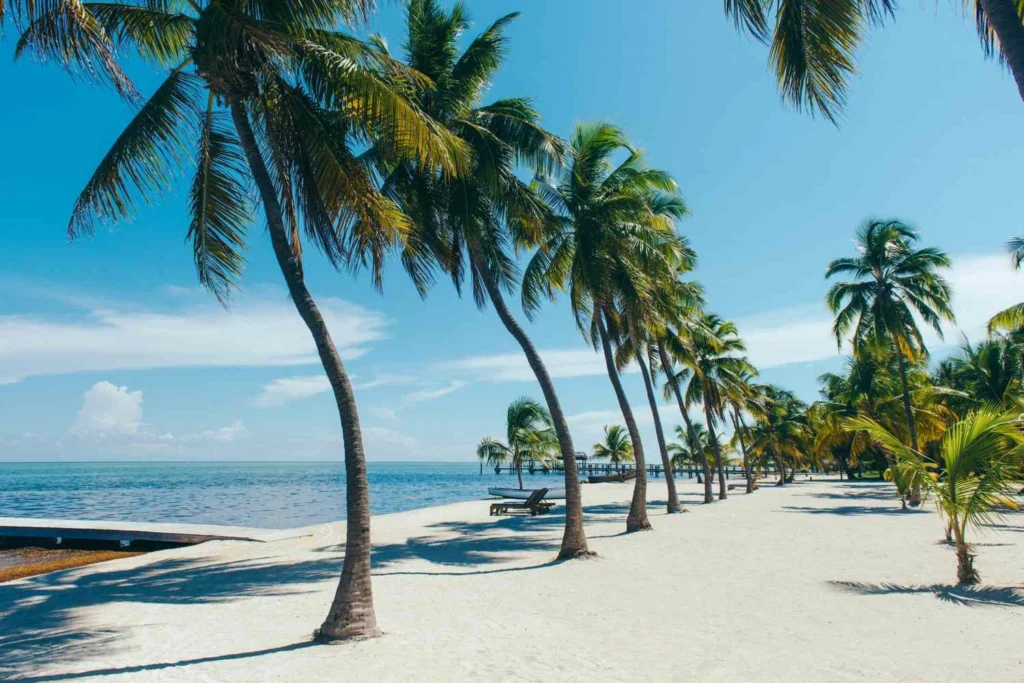 Beach in Florida